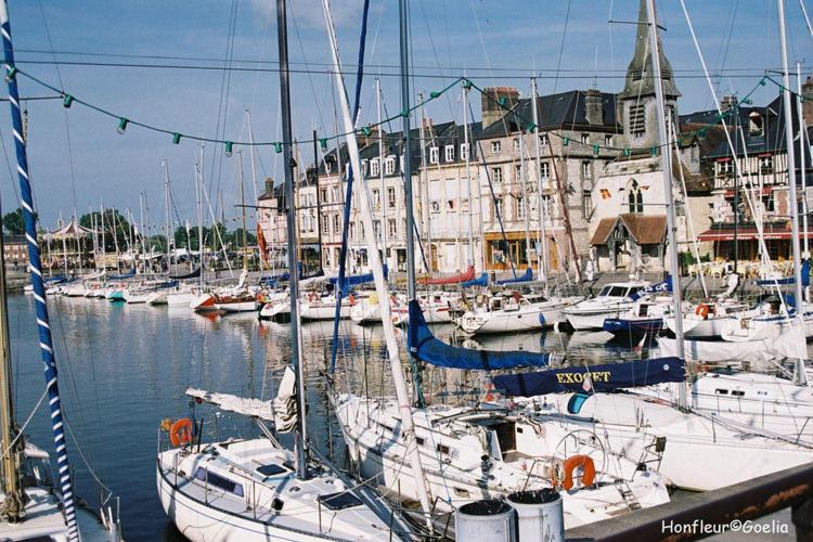 Residence Goelia Les Portes D'Honfleur Boulleville Rum bild